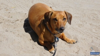 20738E5F-F134-4C2F-9A55-2078762E9854