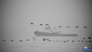 30F606AD-534F-40A0-AA11-98A8C64D19AC