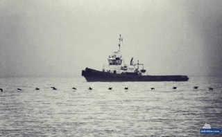 B56B036D-1052-4F23-8D53-12438EE426CA